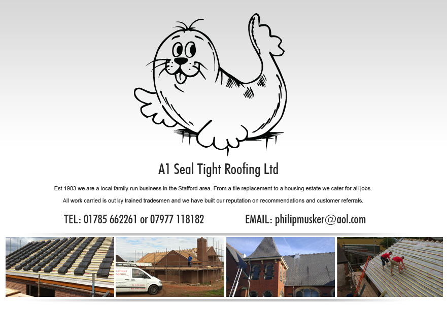 Seal Tight Roofing